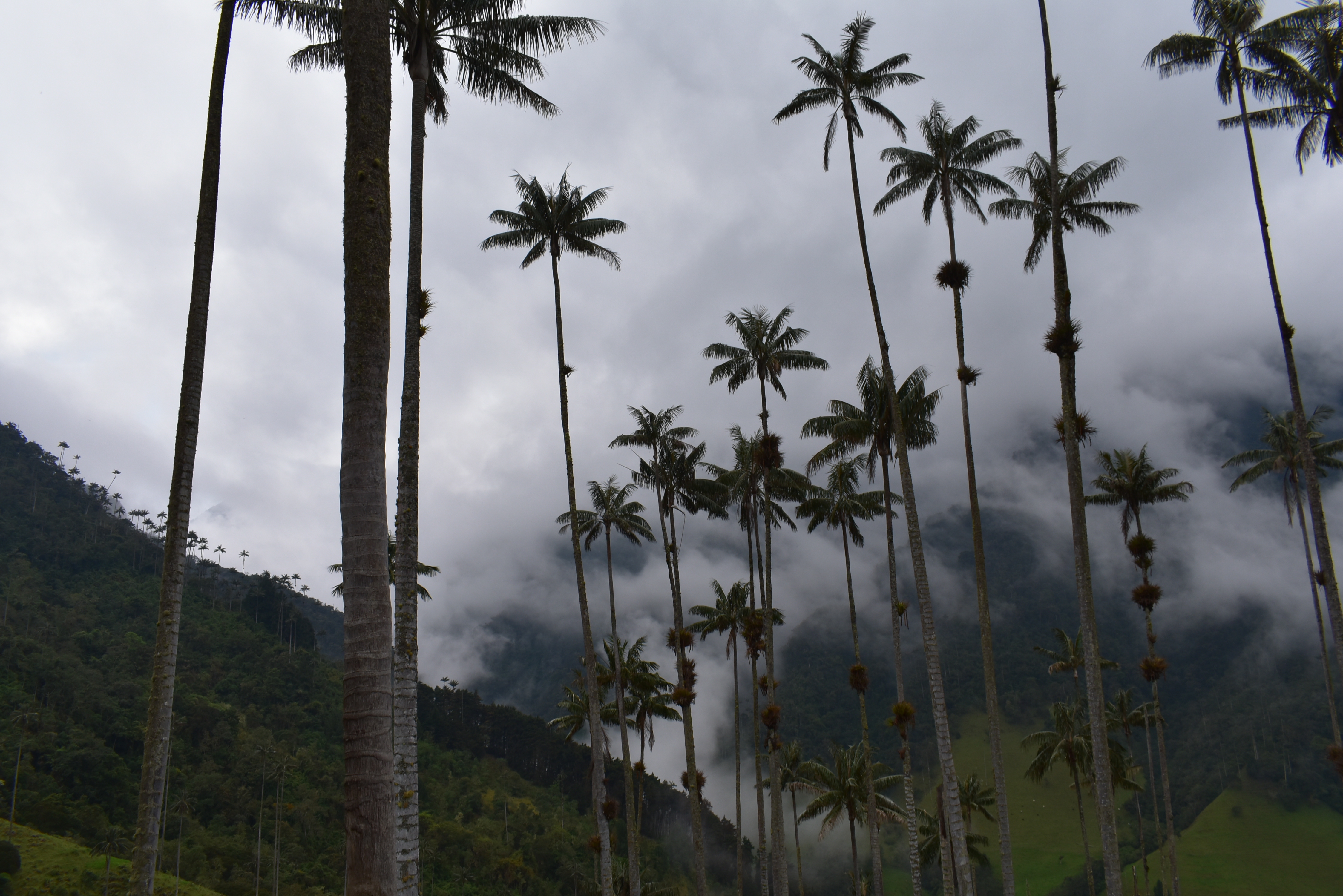 Córdoba, Quindío