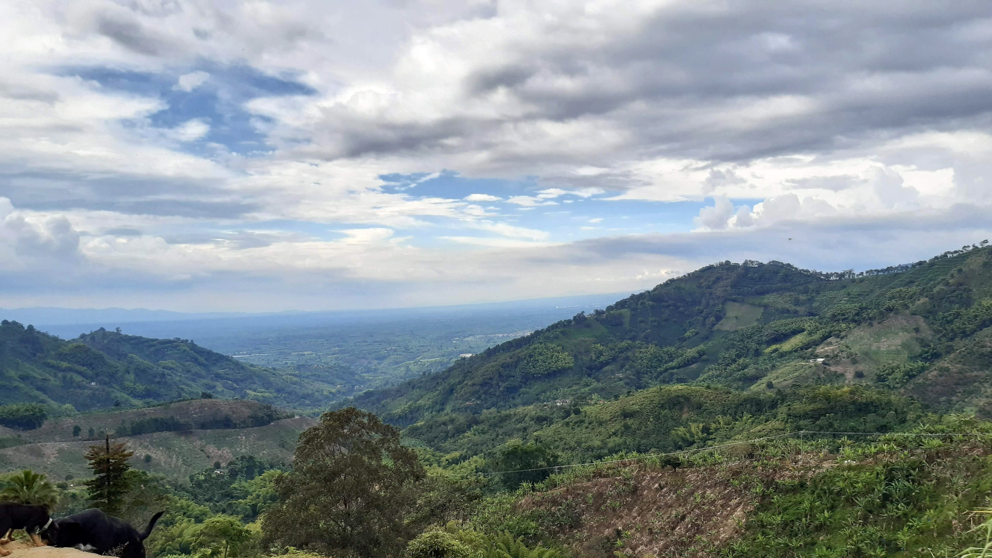 Buenavista, Quindío